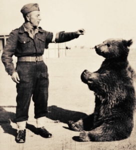 Niedzwiedź Wojtek