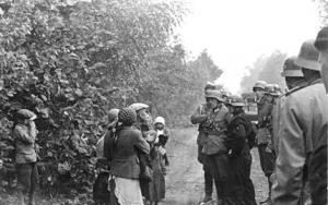 Pacyfikacja Boru Kunowskiego-1