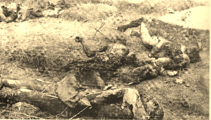 Pacyfikacja wsi Szarajówka-2
